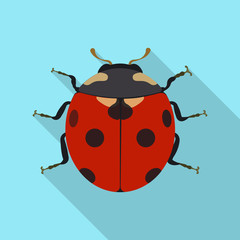 Vector design of insect and fly icon. Set of insect and element vector icon for stock.