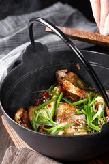 Delicious Chinese food, braised fish in iron pot

