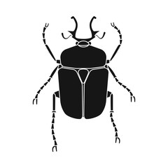 Vector design of insect and fly sign. Set of insect and element stock vector illustration.