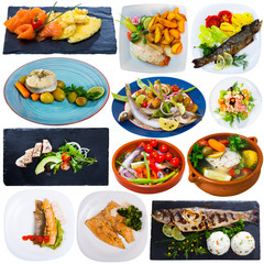 Collection of various fish dishes