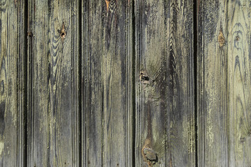 Old wood texture background coming from natural tree. Old wooden surface