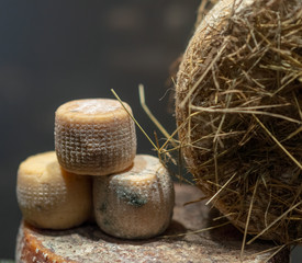 italian cheese at market in pienza