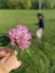 woman holding flowers