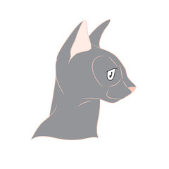 cat portrait, vector, white background