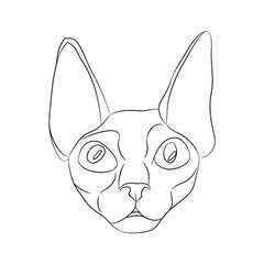 cat portrait, lines, vector,