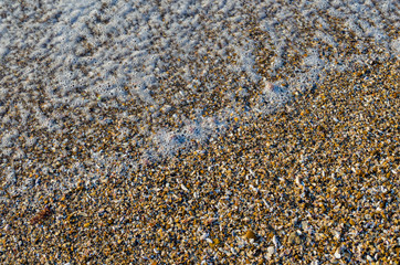 Seashore of shellstone with a coastal foamy wave