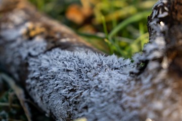 Macro of ice and snow coating during winter. Slovakia