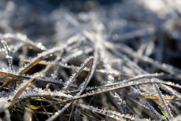 Macro of ice and snow coating during winter. Slovakia