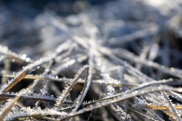 Macro of ice and snow coating during winter. Slovakia