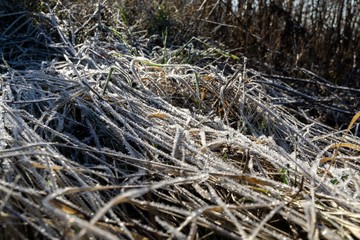 Macro of ice and snow coating during winter. Slovakia