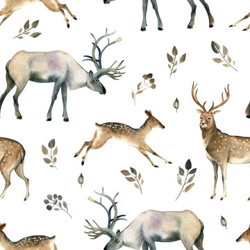 Watercolor realistic forest animal sketch. Seamles pattern about deer, stag, moose and leaves