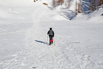 A hiker with snowshoes walks in the sunny snowy Alpe Sangiatto landscape above Alpe Devero in Piedmont, Italy.