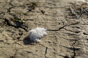 Macro of ice and snow coating during winter. Slovakia