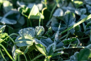 Macro of ice and snow coating during winter. Slovakia