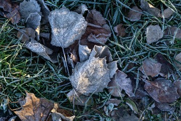 Macro of ice and snow coating during winter. Slovakia