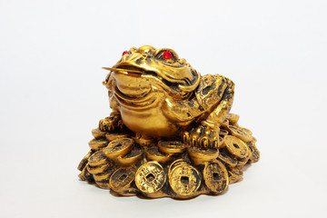 Golden frog statue