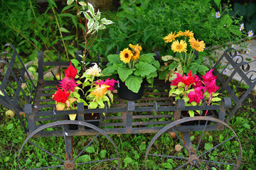 Fototapeta na wymiar Flowers in pots on stand in the form of a cart