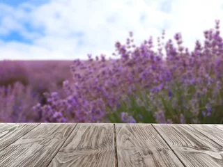Photo sur Plexiglas Lavande Belle lavande en fleurs dans le champ le jour d& 39 été