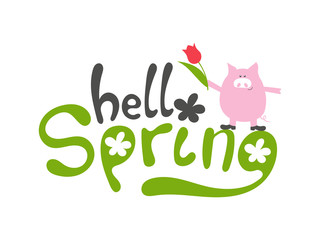 Hello spring - vector green hand writing motivation quote with clover leaf and pink pig with red tulip flower on white background. Calligraphic text for season poster or banner