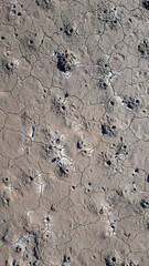Wet sea floor texture during the low tide