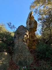 Fototapeta na wymiar stone, rock among the trees. california mountains