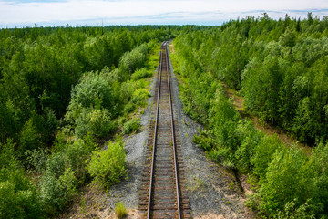 railway in forest