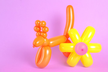 Flower and animal figures made of modelling balloons on color background. Space for text