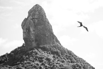 hill of the pico in the conceição beach in fernando de noronha, pernambuco - brazil