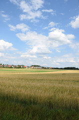 Fototapeta na wymiar Felder bei Weißenstadt