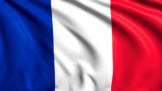 French flag with fabric structure in the wind (loopable)