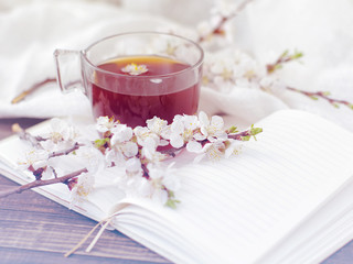 Blossoming apricot branch and a cup of tea on a wooden table. Spring bouquet, book and tea.