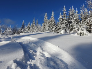 A Snowmobile Trail at the Recreation Park, Sainte-Apolline, Quebec, Canada