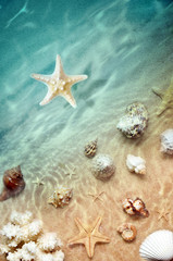Fototapeta na wymiar starfish on the summer beach with sand,