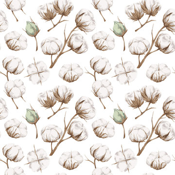 Seamless Cotton Pattern
