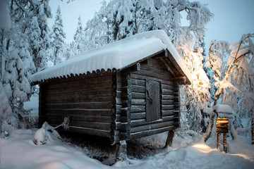 The Life at the arctic