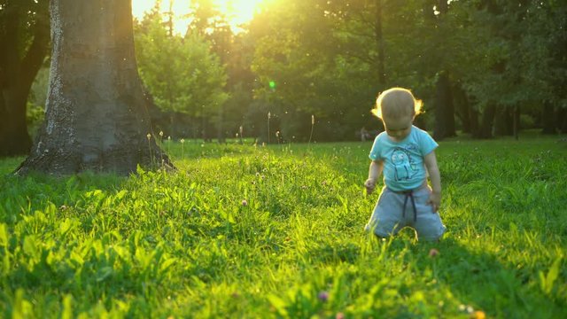 Cute baby boy making first steps in sunset lights