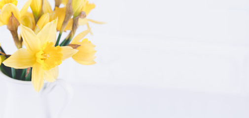 Jar with narcissuses at the white brick background. Spring, mothers day and Easter concept