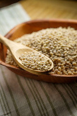 Dry Raw Pearled Barley