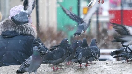 Flock of birds pigeons, flying over crowd of people in winter city. Slow motion.
