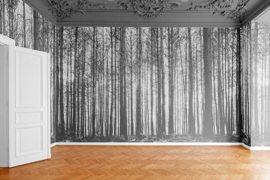  room with photo wallpaper with  forest landscape photography  -