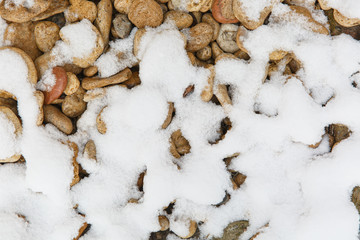 Close up Texture of stones on beach covering with snow and snowflakes. Outdoors nature beautiful background.