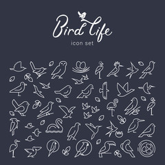 Beautiful background with birds icons. Flat birds icon set. Thin line style for icons.Vector flat simple minimalistic bird logo. Birds icon, animal sign, symbol isolated on white background. © Liudmyla Klymenko