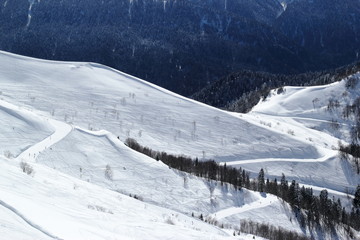 Obraz premium Sunny ski slopes of the snowy mountain resort Rosa Khutor, Sochi Russia