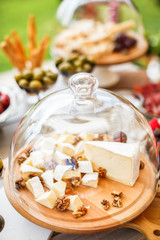 Brie cheese with walnuts under a glass bell jar