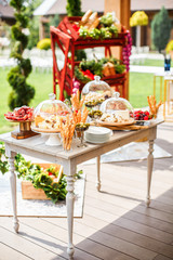 Buffet in the Italian style. On the table are different cheeses, grissini, prosciutto and olives
