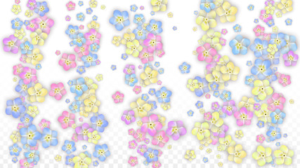 Colorful Vector Realistic Petals Falling on Transparent Background.  Spring Romantic Flowers Illustration. Flying Petals. Sakura Spa Design. Blossom Confetti. Design Elements for Wedding Decoration.