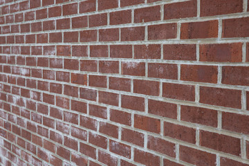 Brick wall with white mortar