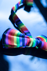 Gay lesbian LGBT bow tie