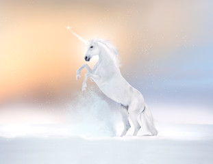 Obraz na płótnie Canvas White unicorn reared on a snow