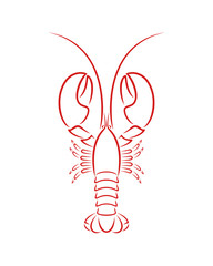 Lobster outline. Isolated lobster on white background